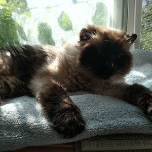 Meet your Posher, Debbie sue